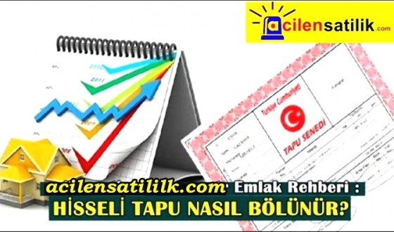 acilensatilik.com Emlak Rehberi : Müşterek tapu nedir? HİSSELİ TAPU NASIL BÖLÜNÜR?