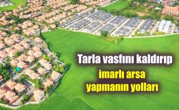 Emlak Rehberi: Tarım Arazisinden Arsaya Geçiş nasıl yapılır?