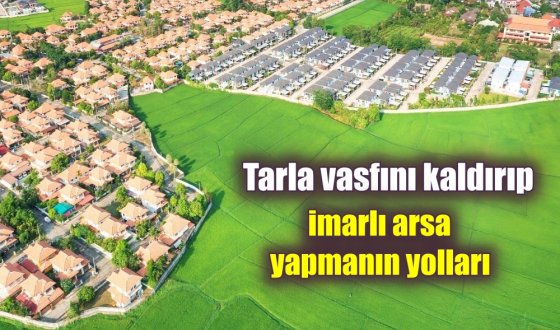 Emlak Rehberi: Tarım Arazisinden Arsaya Geçiş nasıl yapılır?