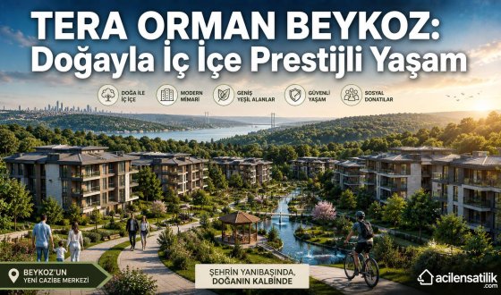 Tera Orman Beykoz Projesiyle Şehir ve Orman Yaşamı Bir Araya Geliyor