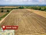 Kırklareli Pınarhisar'da SAHİBİNDEN SATILIK TARLA (Fıçıcı Pınar Bağlar Arkası)