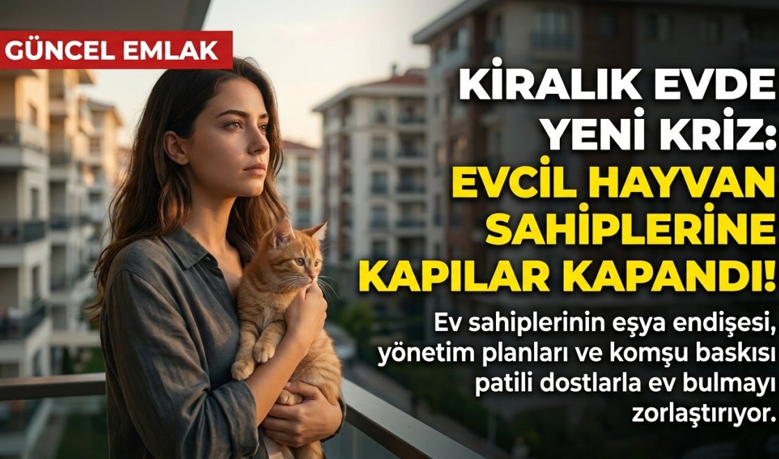 Kiracıların Çilesi Bitmiyor: Evcil Hayvanı Olanlar İçin Kiralık Ev Rehberi ve Hukuki Haklar