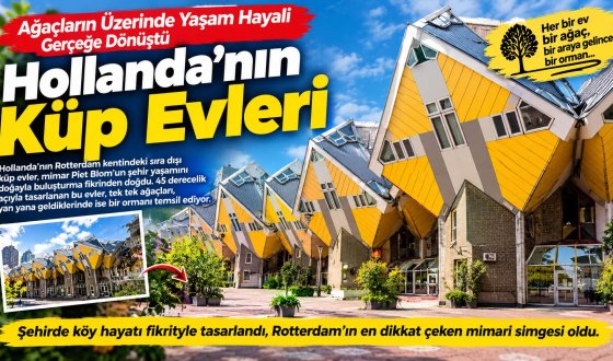 45 Derece Eğik Evler Dünyayı Şaşırttı Hollanda’daki Küp Evlerin Hikâyesi