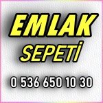 Gülay Baş