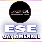 Erdem Çetin